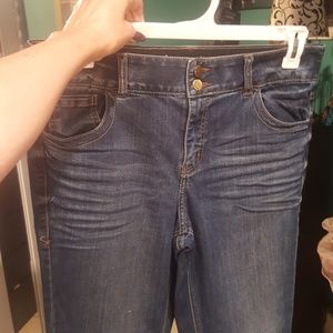 Lane Bryant Skinny Jean, straight fit